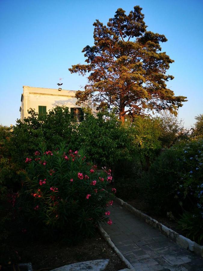 جيوفيناتسو B&B Villa Maria المظهر الخارجي الصورة